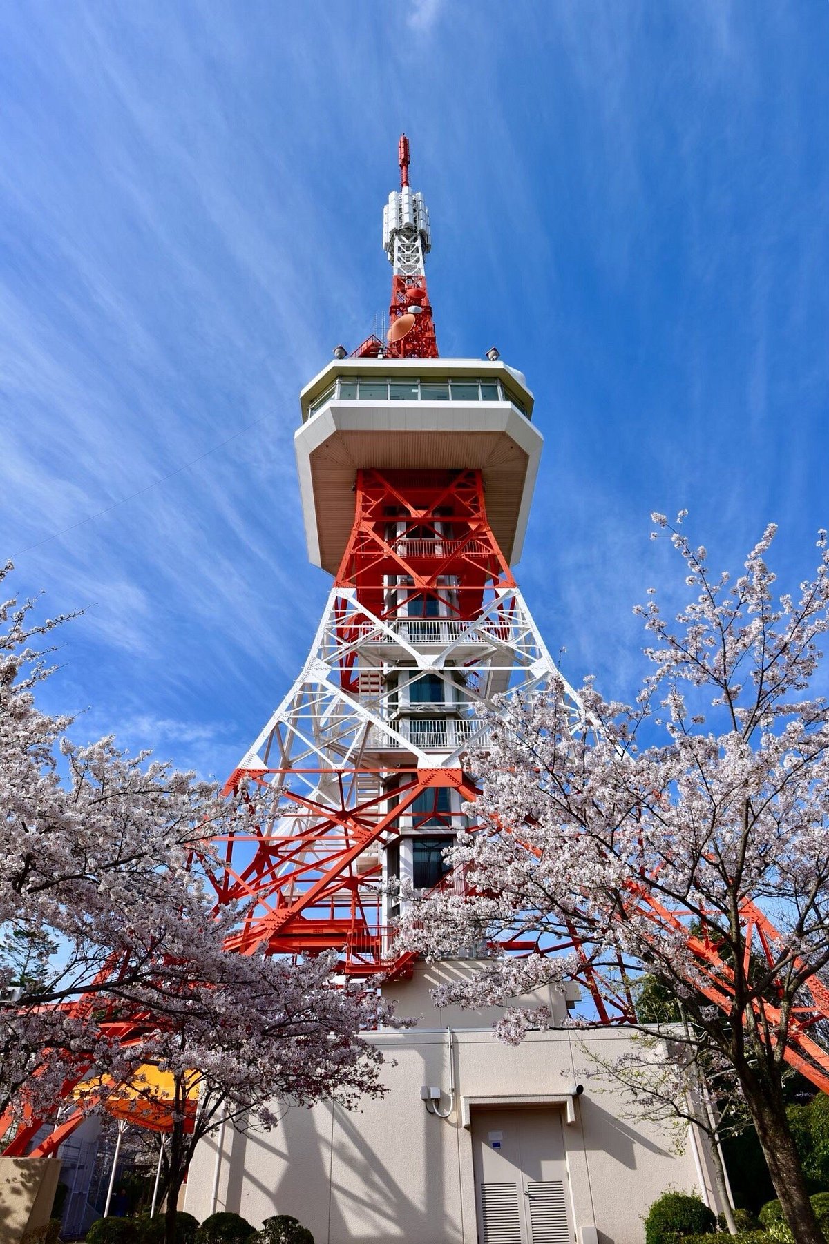 🏞️ 하치만야마 공원 이미지 9